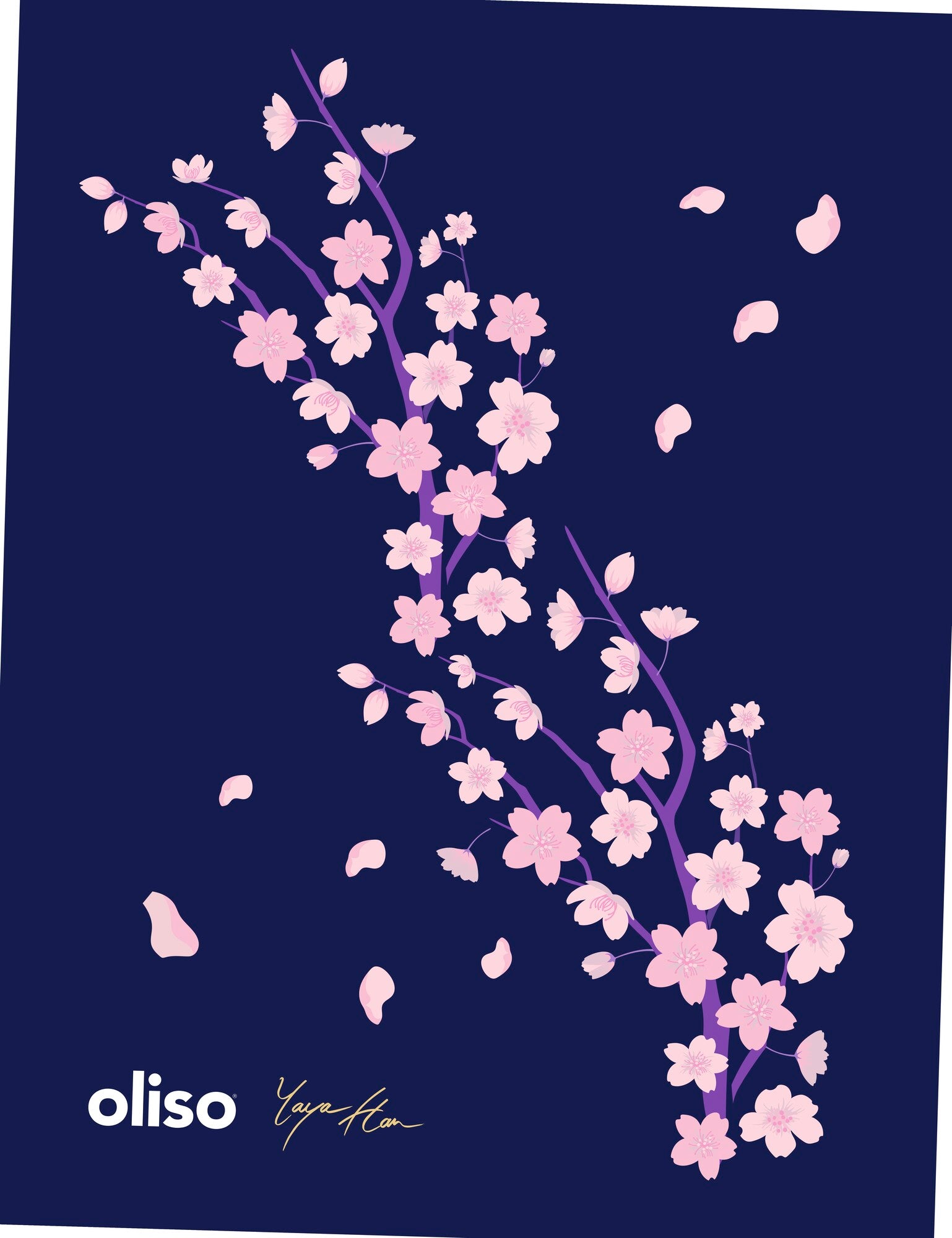 Oliso 100% cotton cloth featuring Yaya Han's original cherry blossom design on a rich midnight blue background. For general kitchen use or protecting delicate fabric when pressing.